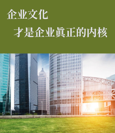 ISO体系认证与商务审核：中小企业如何选择最优方案