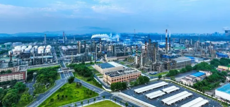 2025年企业信用认证体系对比：国内标准与国际资信评级的差异分析